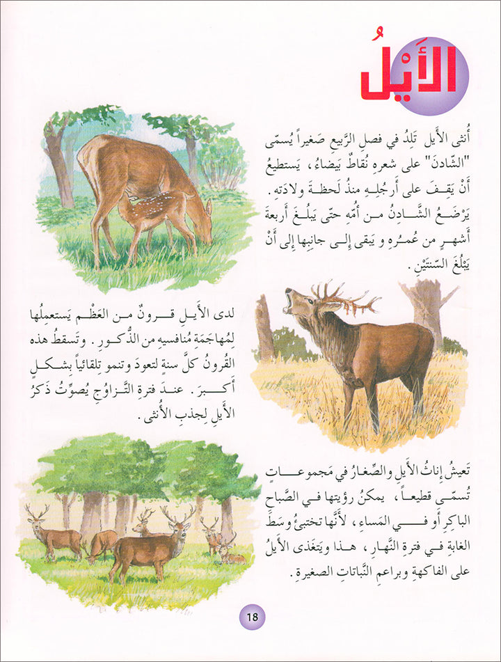 Animal's World series (Set of 6 books) سلسلة عالم الحيوانات