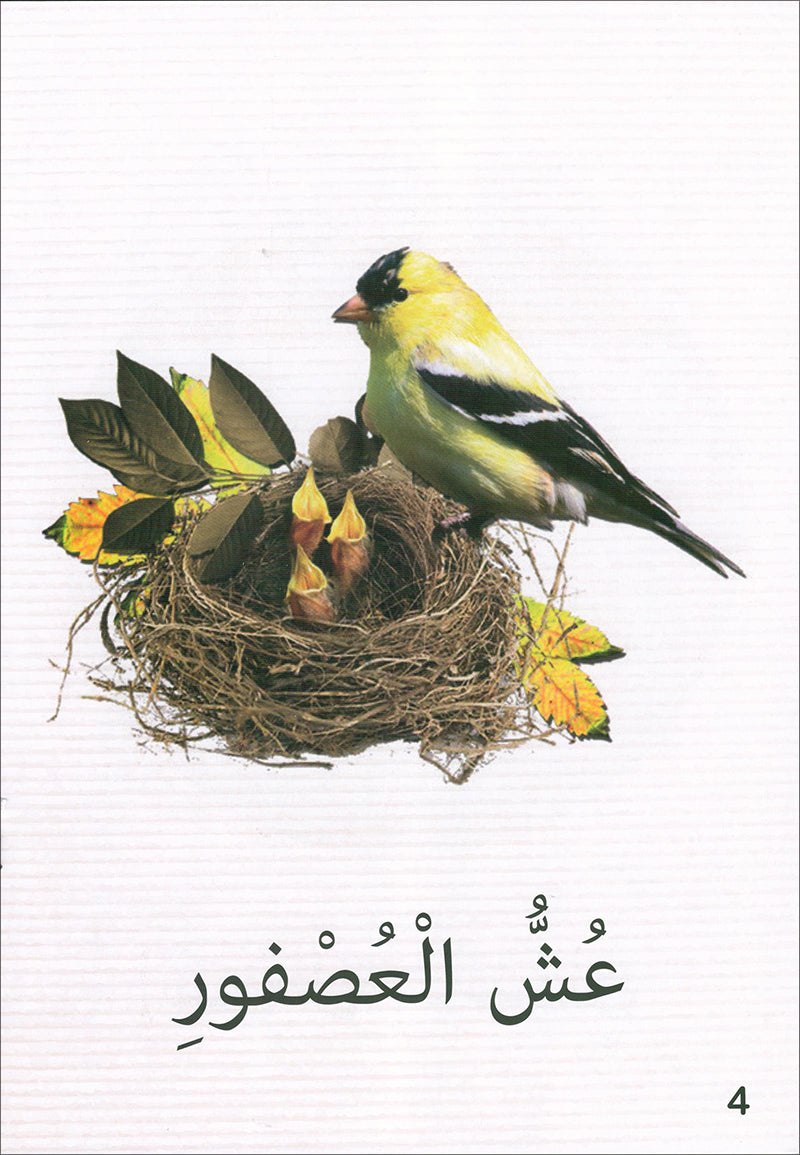 The Reading Tree Series: Beginner Level, Group 1 (Set of 10 Books) سلسلة شجرة القراءة