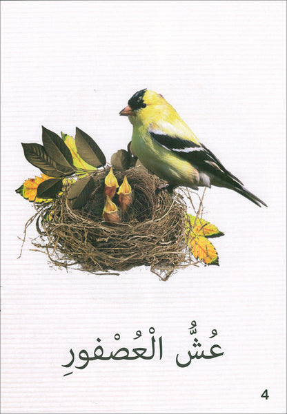 The Reading Tree Series: Beginner Level, Group 1 (Set of 10 Books) سلسلة شجرة القراءة