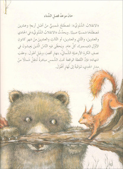 The Forest Mysteries Series (Set of 8 Books) سلسلة الغاز الغابة