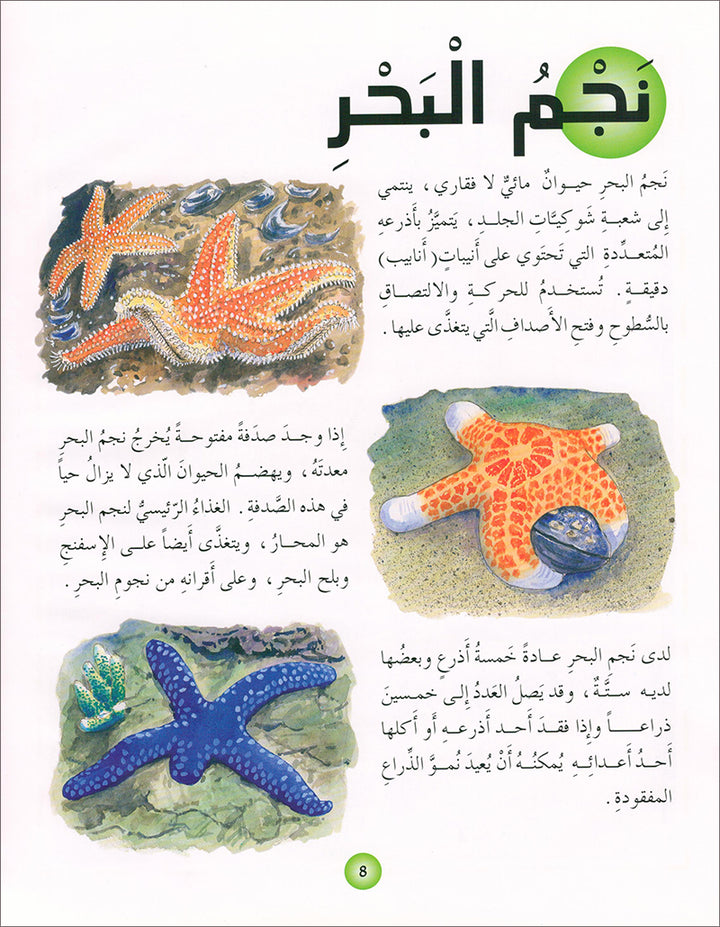 Animal's World series (Set of 6 books) سلسلة عالم الحيوانات