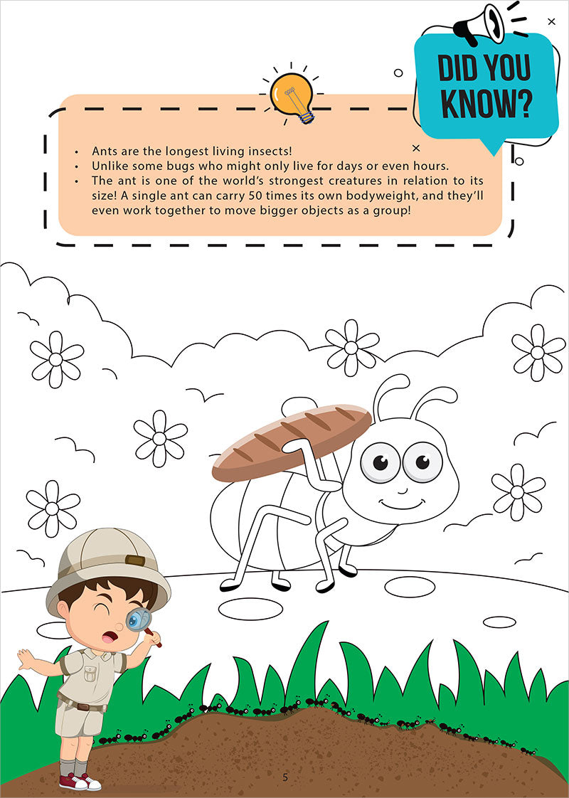 Animals in the Qur’an: Activity Book