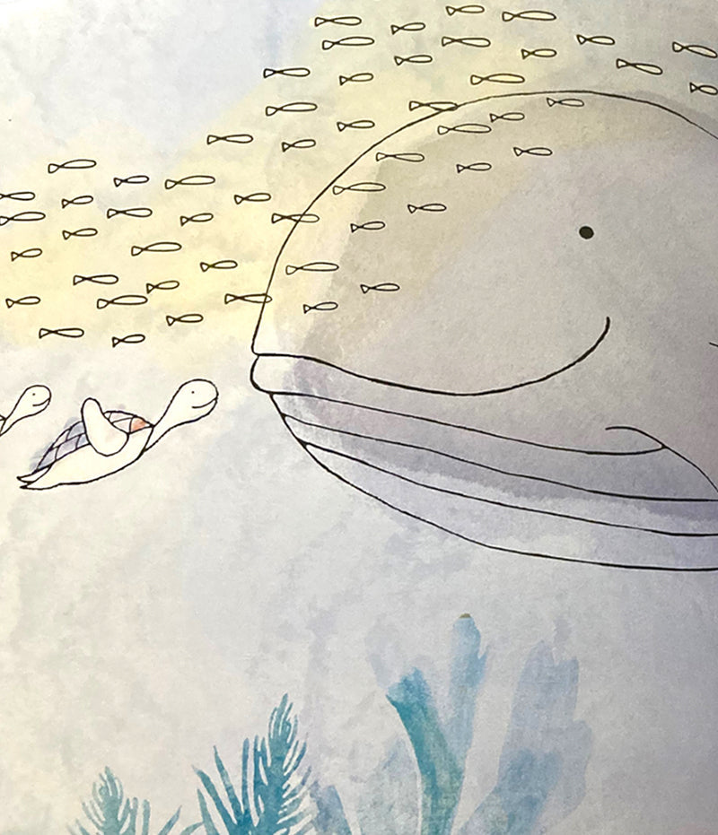 Allah’s Mercies (Set of 3 Books)