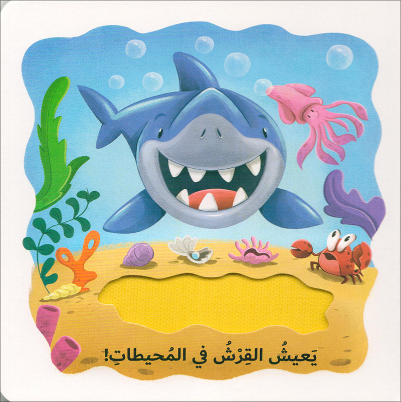 Learning Through The Sense of Touch Serie (Set of 6 Books) سلسلة أتعلم بحاسة اللمس