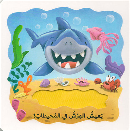 Learning Through The Sense of Touch Serie (Set of 6 Books) سلسلة أتعلم بحاسة اللمس