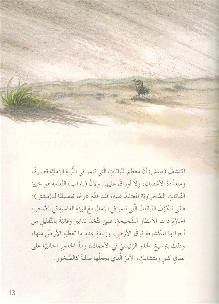 The Forest Mysteries Series (Set of 8 Books) سلسلة الغاز الغابة