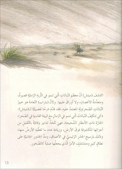 The Forest Mysteries Series (Set of 8 Books) سلسلة الغاز الغابة