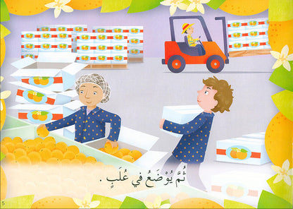 Learning Reading - Group 3 (12 Books, with Interactive CD) تعلم القراءة