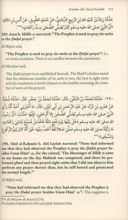 A Commentary on the Depiction of Prophet Muhammad