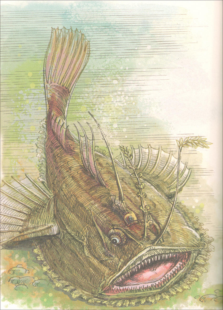 The Forest Mysteries Series (Set of 8 Books) سلسلة الغاز الغابة