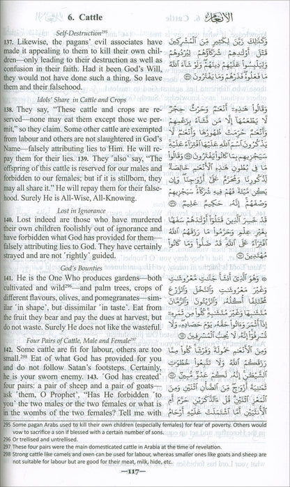 The Clear Quran with Arabic Text- Hardcover (6*8.7)| Limited First Edition