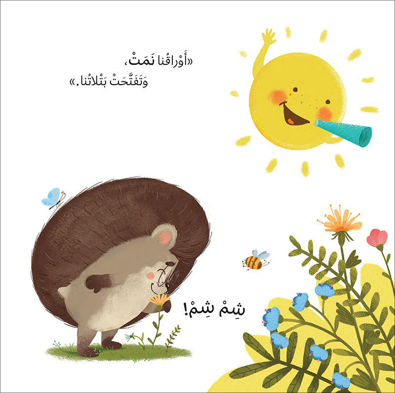 The Four Seasons (Set of 4 Books) سلسلة الفصول الأربعة