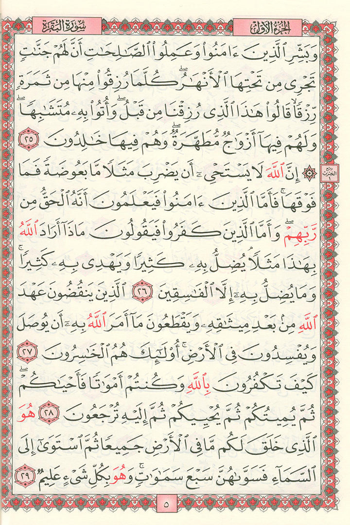 The Holy Quran - Hafs Narration (Uthmani Script, Color May Vary) القران الكريم  بالرسم العثماني برواية حفص