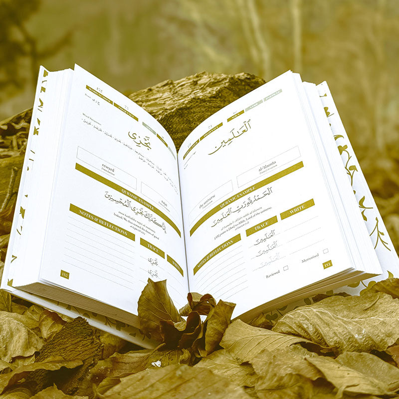 Quran Roots: The Most Popular Words Mentioned in The Quran جذور القرآن