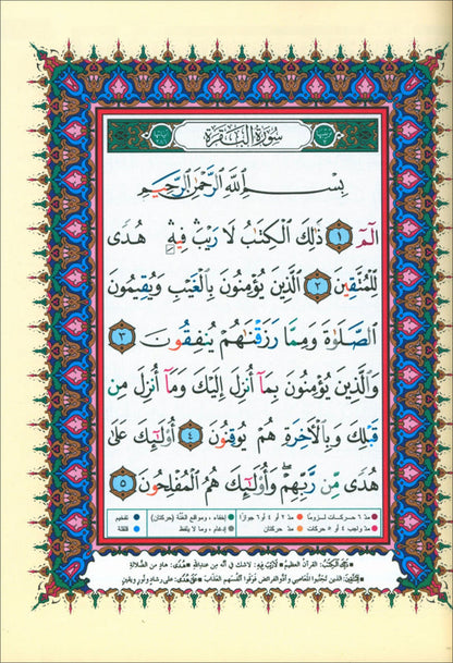 Bulk Tajweed Qur'an Set – 4 Books with Color-Coded Tajweed, Large Size (Hafs Narration) مصحف التجويد