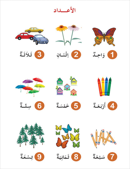 Contemporary Arabic - Reading and Exercises: Level 1 (A1, Beginner Level) العربية المعاصرة - القراءة و التمارين