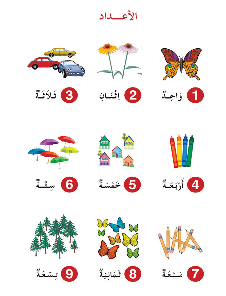 Contemporary Arabic - Reading and Exercises: Level 2 (A2, Elementary) العربية المعاصرة - القراءة و التمارين