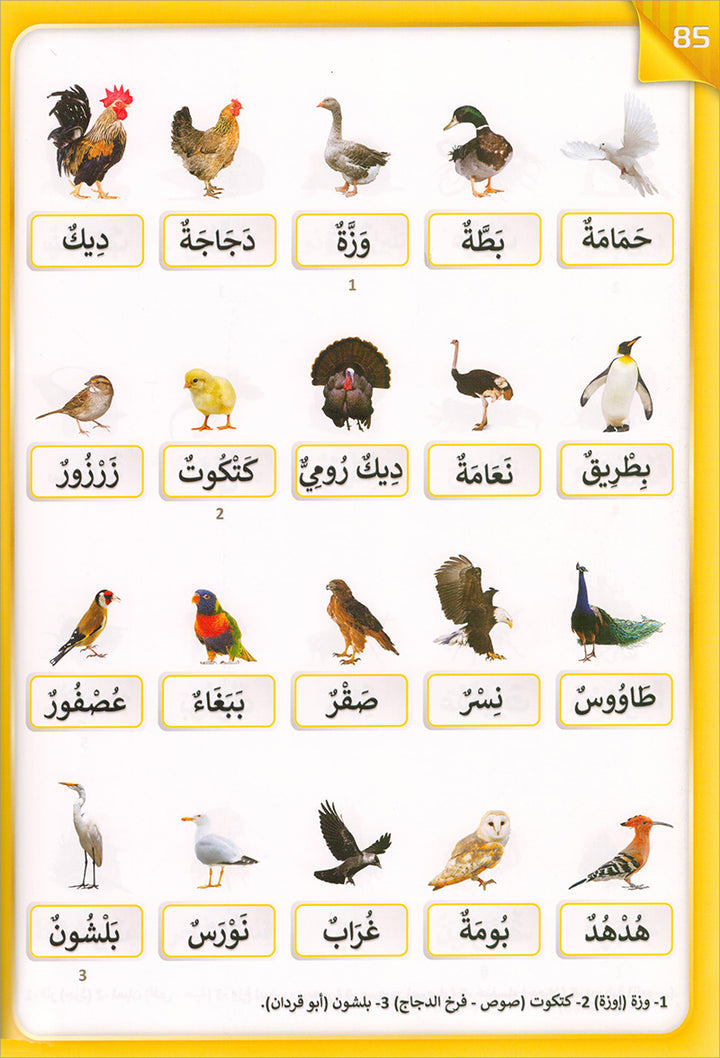The Integrated Establishment: Volume 5 (Alphabet Pictures Dictionary) التأسيس المتكامل: كتاب معجم صور الحروف