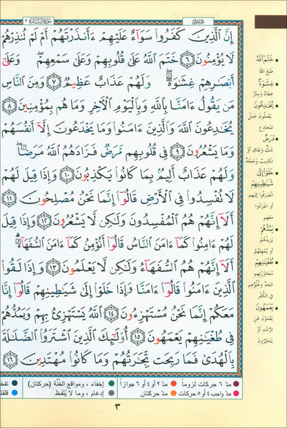 Bulk Tajweed Qur'an Set – 4 Books with Color-Coded Tajweed, Large Size (Hafs Narration) مصحف التجويد