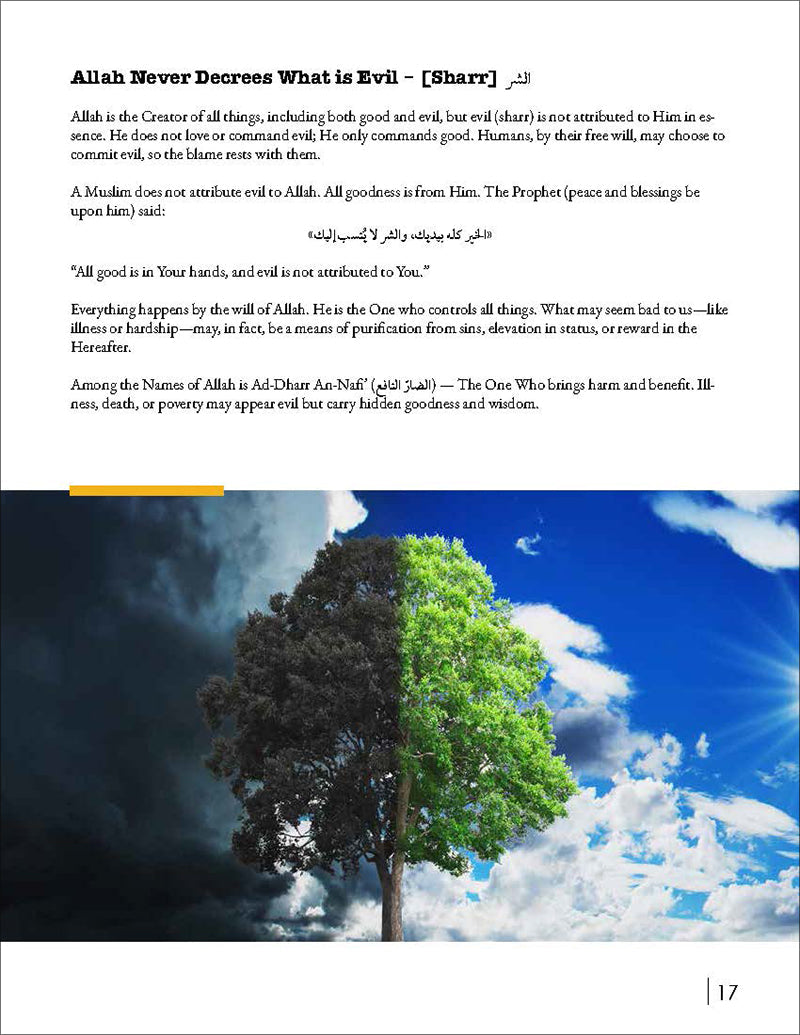 Living Islam 4 (12th Grade)