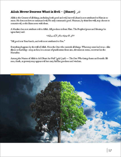 Living Islam 4 (12th Grade)