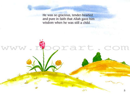 My Quran Stories Gift Box: 2 (20 Quran Stories for Little Hearts, Paperback)