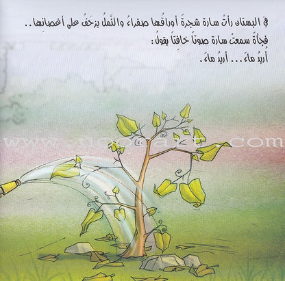 Berries Berries توته توته