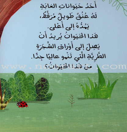 Push and Pull Series (Set of 4 Books) ادفَع واسحَب