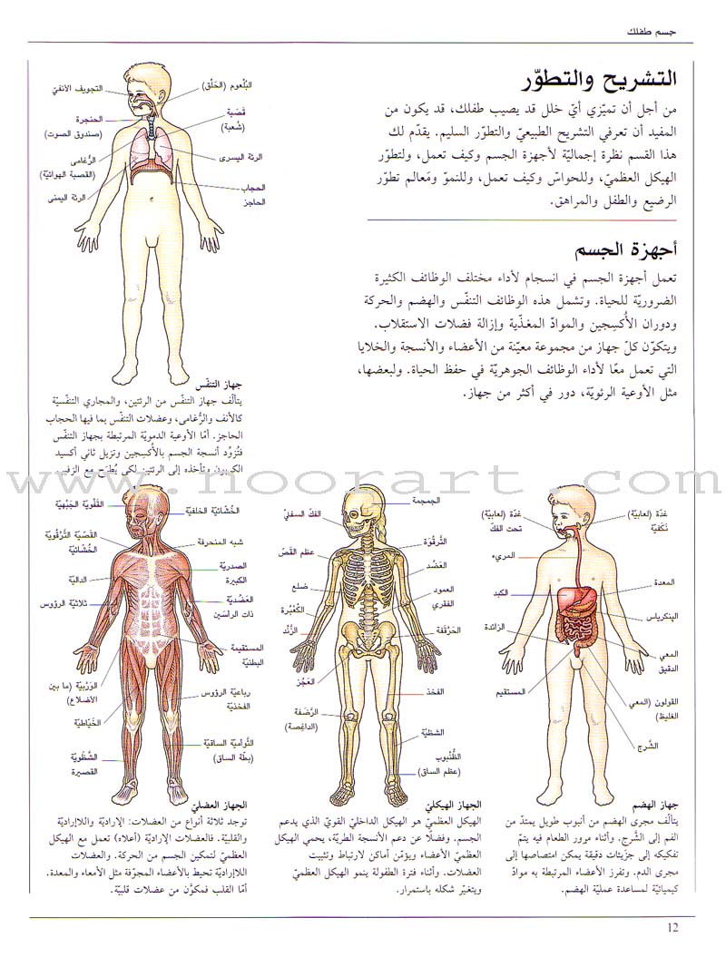 When your Child Gets Sick عندما يمرض طفلك