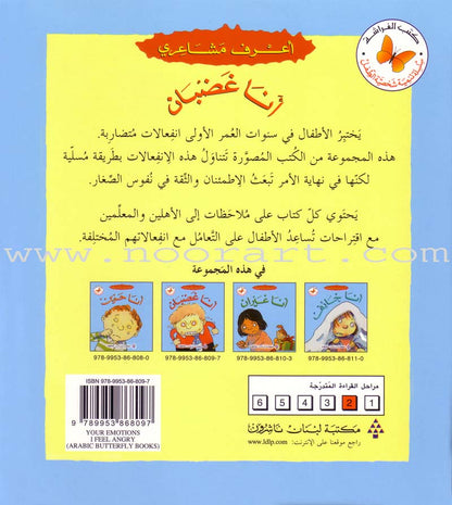 I Know my Feelings (4 Books)