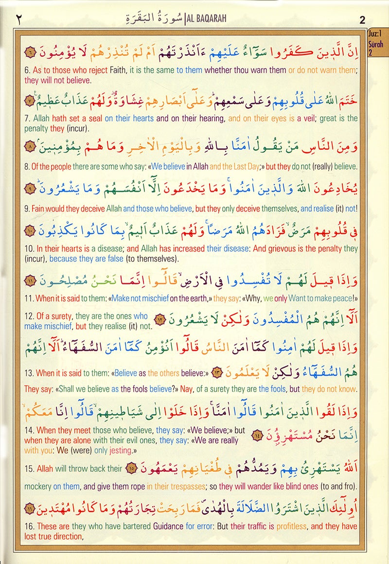 The Holy Qur'an Color-Coded Translation with Arabic Text (Large Size, 8 x 11")