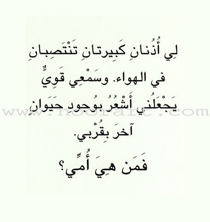 Baby Animal Series (8 Books) سلسلة صغار الحيوانات