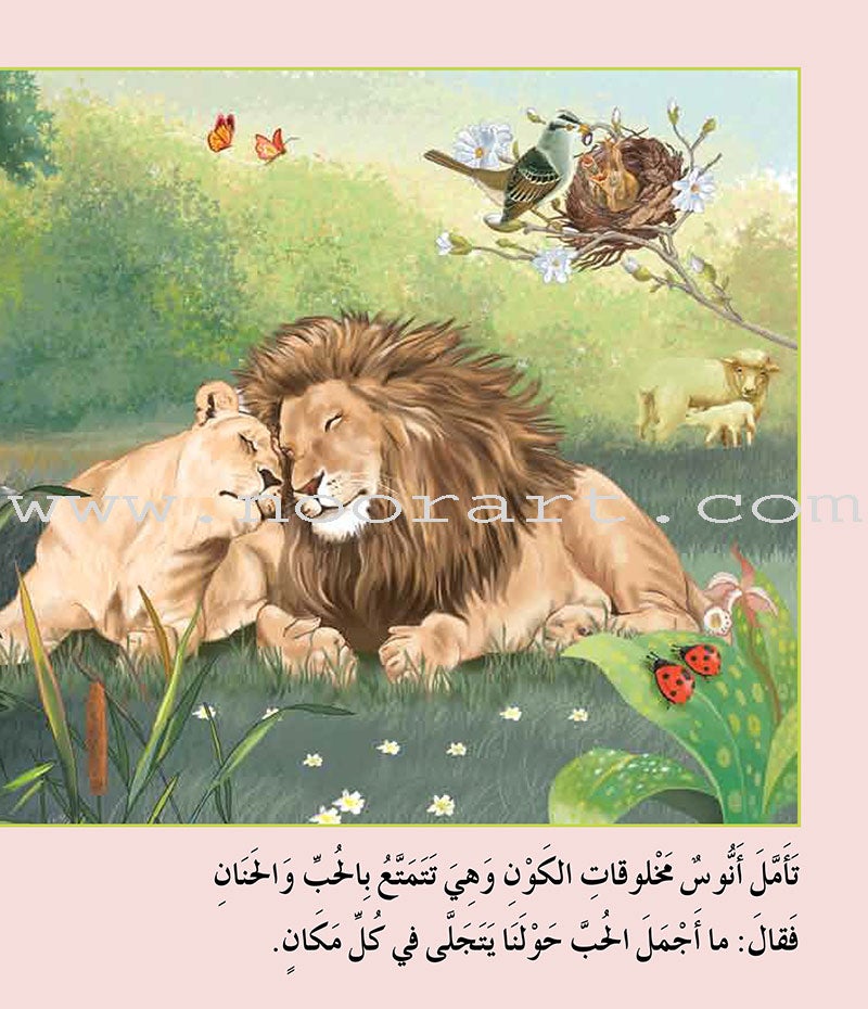 Contemplate With Anoos Stories - Love Series 3 (4 Books,with Audio CD) منهاج تفكر مع أنوس سلسلة الحب