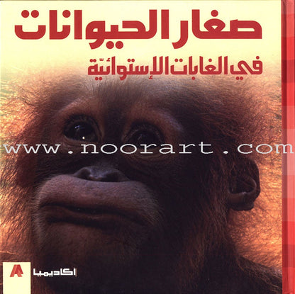 Baby Animal Series (8 Books) سلسلة صغار الحيوانات