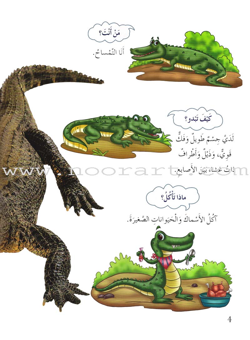 My First Questions and Answers Series سلسلة أسئلتي وأجوبتي الأولى