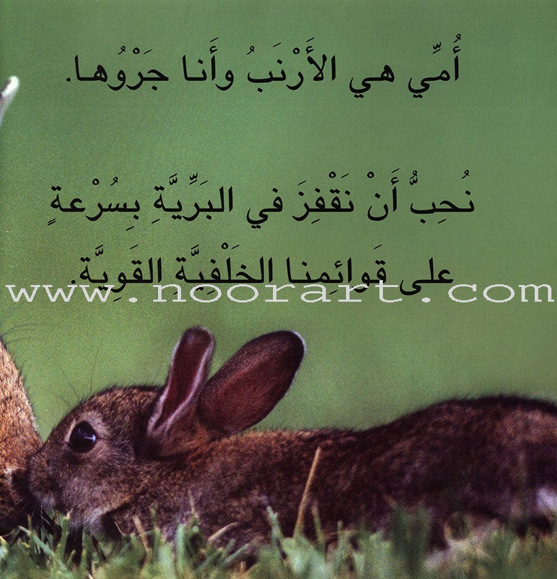 Baby Animal Series (8 Books) سلسلة صغار الحيوانات