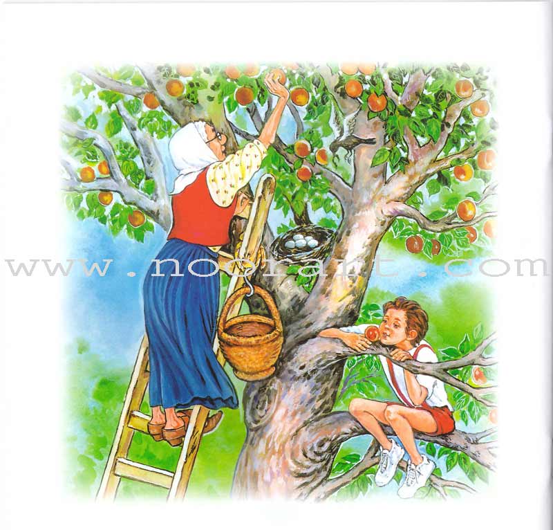 My Grandmother Nawara Tales (8 Books) حكايات جدتي نوارة