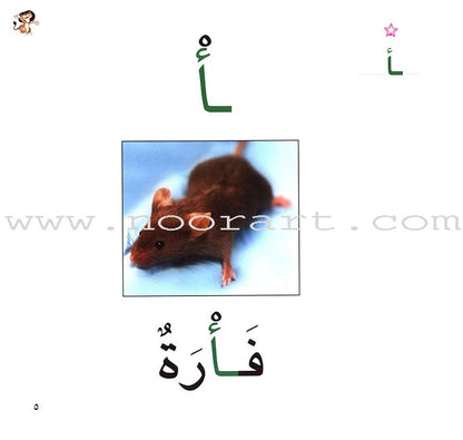 Ladder Reading Stories Box (28 Alphabets) قصص سلم القراءة داخل علبة