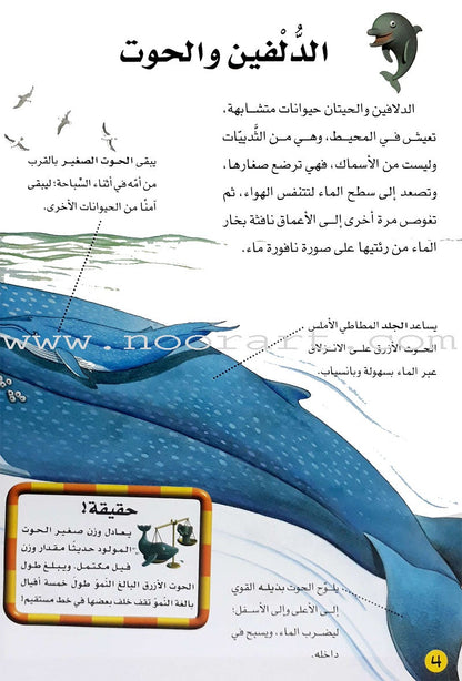 Learning Ladders (Set of 10 Books) سلالم التعلم