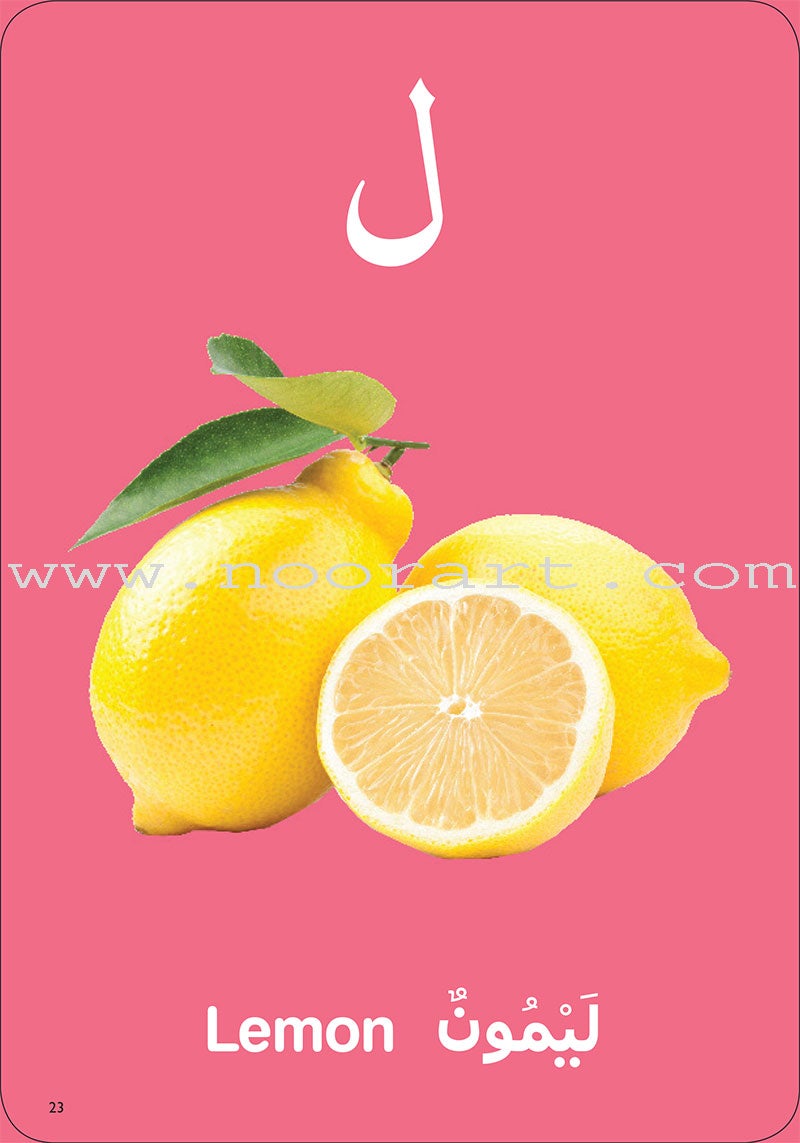 My First Arabic Game