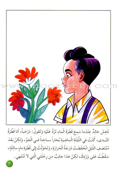 Arabic Graded Stories: Grade 3 (4 Books)