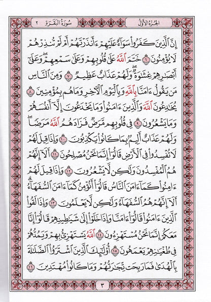 Mushaf al-Madinah (Small, Non Saudi Version, Color may Vary) مصحف المدينة
