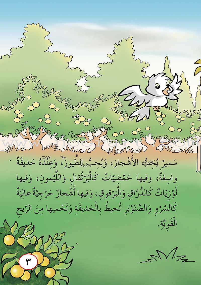 ICO Arabic Stories Box 4 (4 Stories, with 4 CDs)
