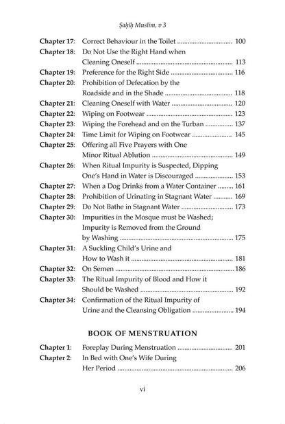 Sahih Muslim: With the Full Commentary by Imam al-Nawawi (Volume 3, Hardcover)