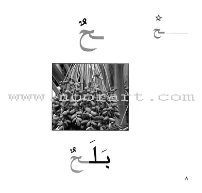 Ladder Reading Stories Box (28 Alphabets) قصص سلم القراءة داخل علبة