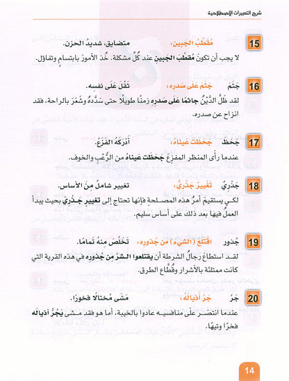 rabic is the Language of Tomorrow - Idiomatic Expressions: Part 2 العربية لغة الغد : التعبيرات الإصطلاحية الجزء الثاني