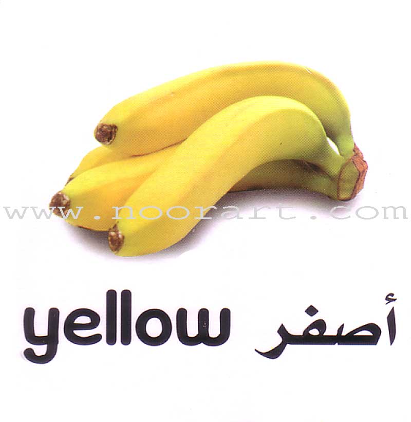 My First Learning Set (6 Books)