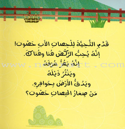 Push and Pull Series (Set of 4 Books) ادفَع واسحَب