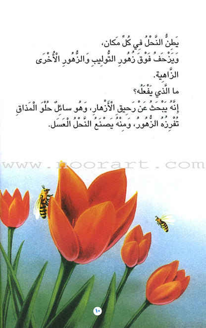 The Reader's Club: Level 3 (14 Books) نادي القراء - المستوى الثالث