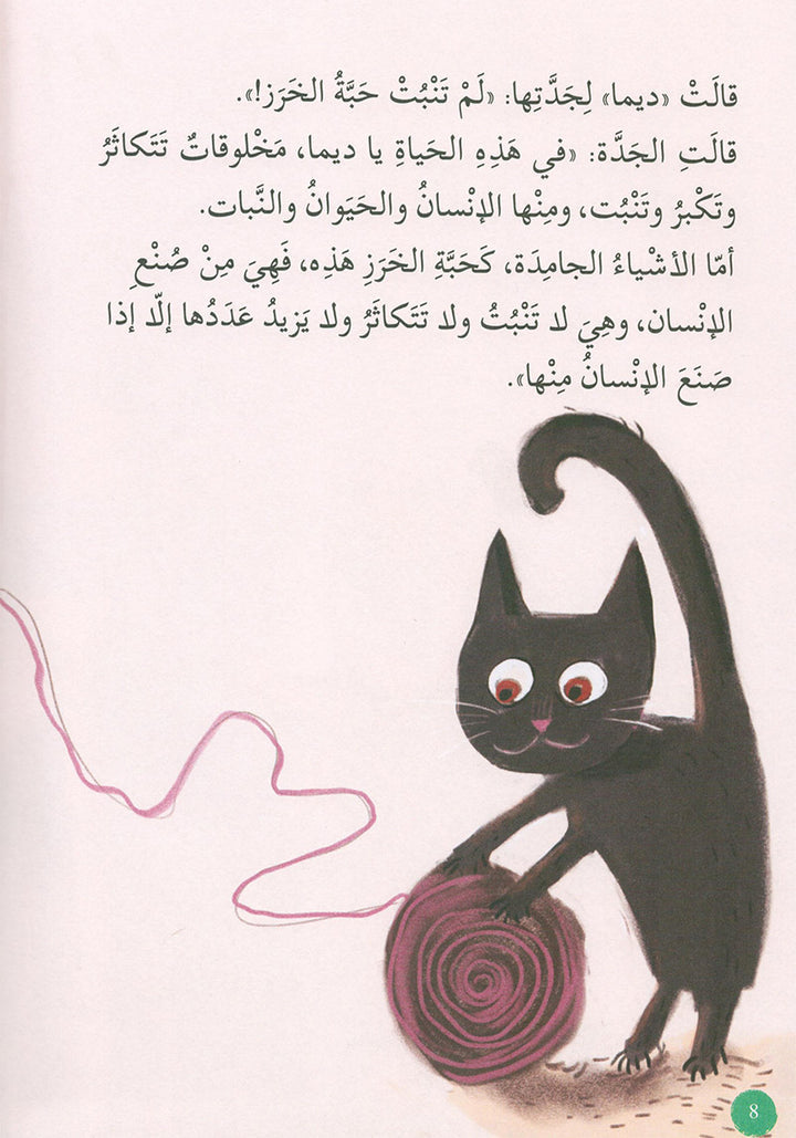 Human, Animal, plants, Something انسان، حيوان، نبات، شيء.
